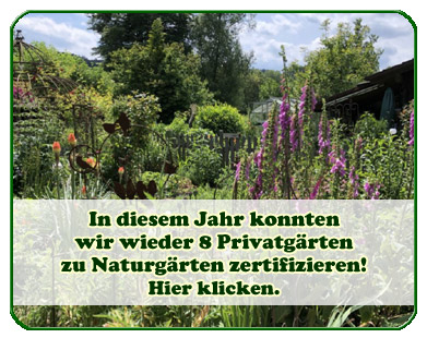 Aktion Bayern blüht