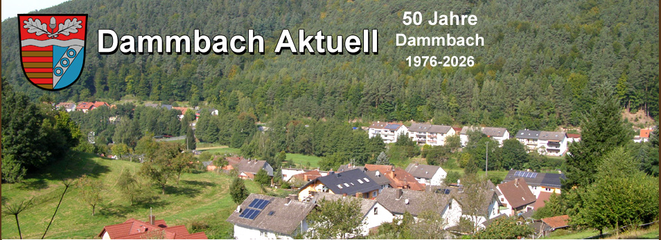 Dammbach Aktuell Impressionen