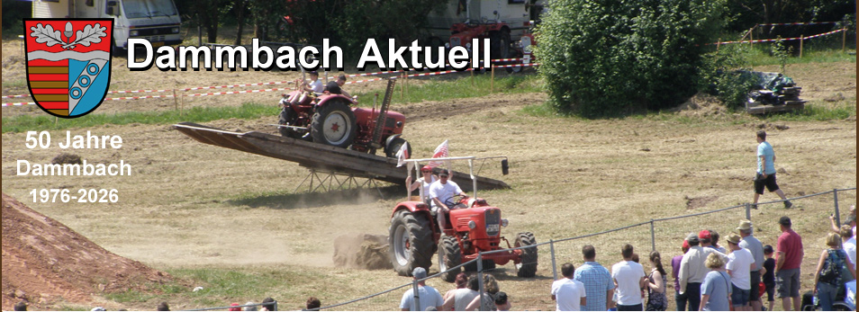 Dammbach Aktuell Impressionen