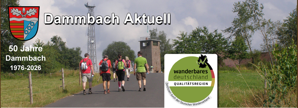 Dammbach Aktuell Impressionen