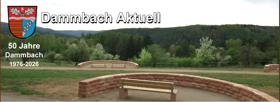 Dammbach Aktuell Impressionen